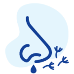 Tìm hiểu về bệnh lý dị ứng