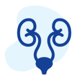 Tìm hiểu bệnh lý hệ tiết niệu