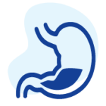 Tìm hiểu các bệnh lý về tiêu hóa