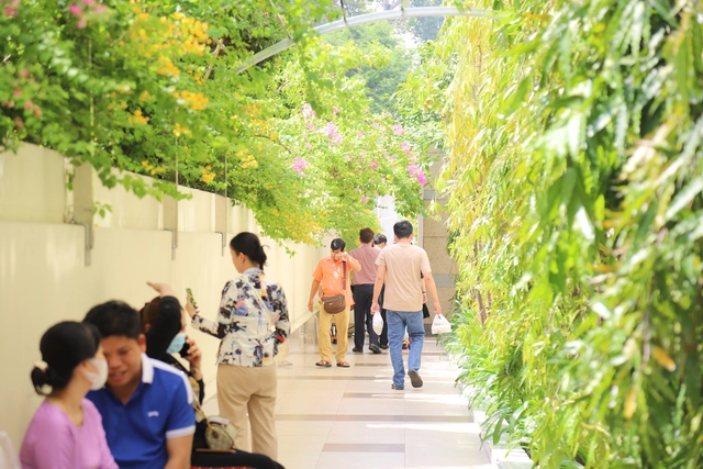 Xây dựng môi trường xanh, sạch, đẹp đã trở thành điểm sáng của bệnh viện. Ảnh: Internet