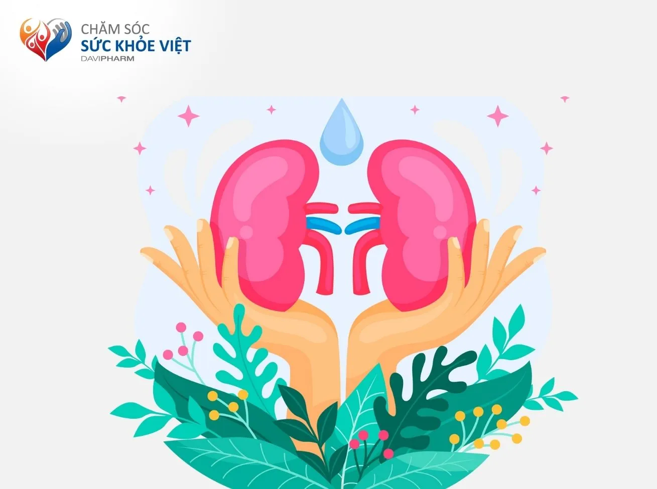 Phòng ngừa tổn thương thận ở người đái tháo đường – Nguồn: Freepik