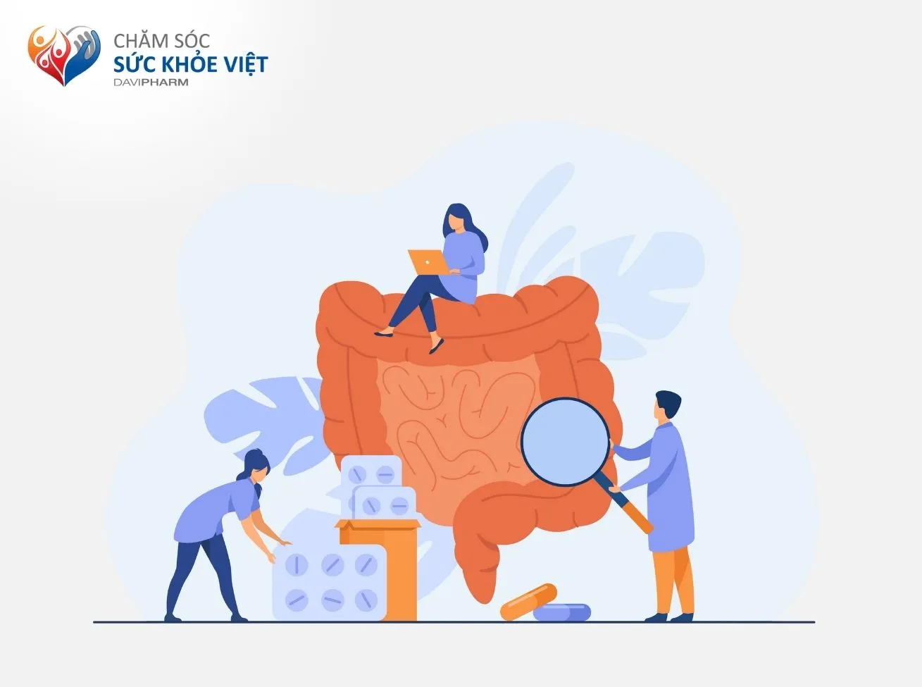 Thuốc điều hòa nhu động ruột hiệu quả điều trị cả ba triệu chứng tiêu chảy, táo bón, đầy bụng
