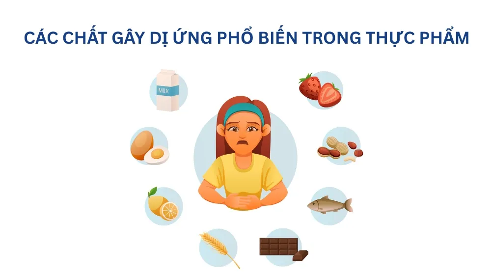 CÁC CHẤT GÂY DỊ ỨNG PHỔ BIẾN TRONG THỰC PHẨM