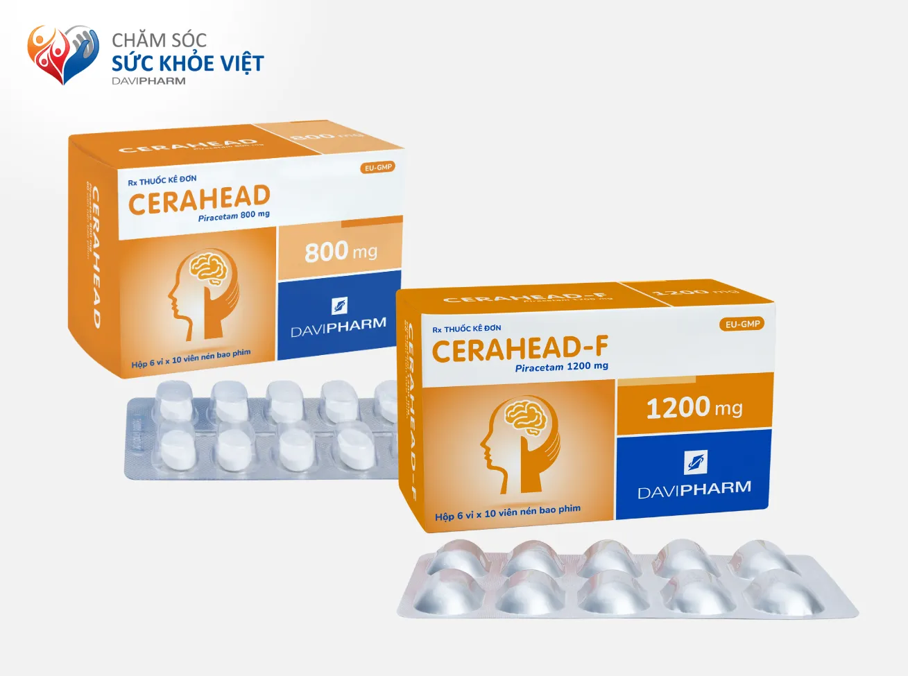 SỬ DỤNG THUỐC ĐIỀU TRỊ SA SÚT TRÍ TUỆ PIRACETAM (CERAHEAD/ CERAHEAD-F) AN TOÀN VÀ HIỆU QUẢ 
