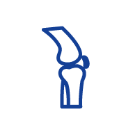 Danh mục thuốc cơ xương khớp