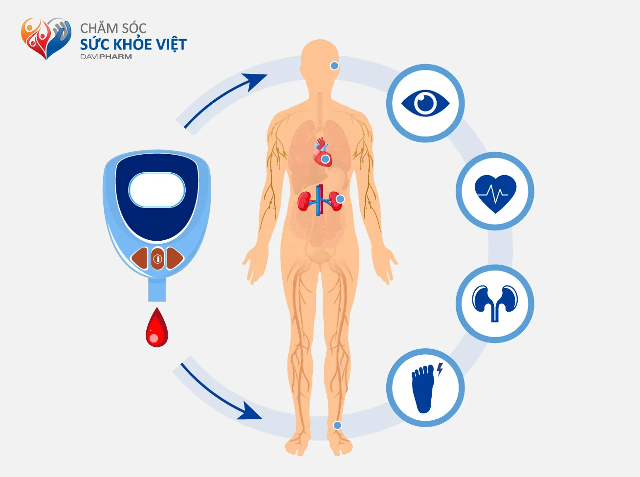 Hình 2: Những biến chứng nguy hiểm mà đái tháo đường có thể gây ra. 